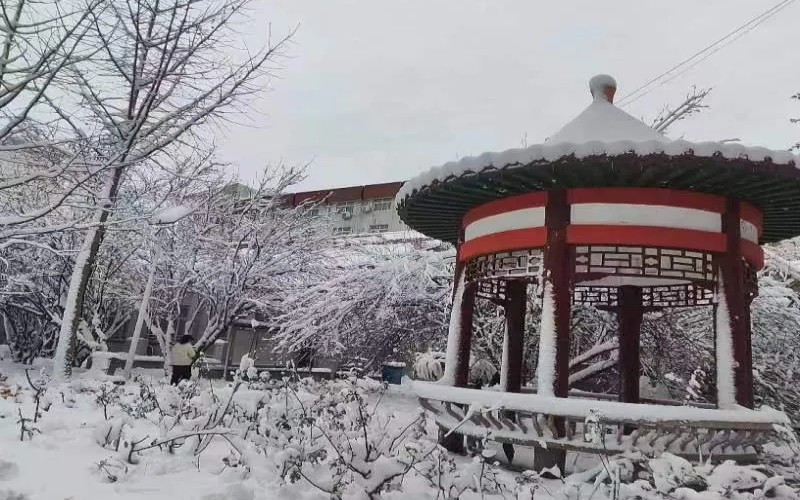 郑州亚欧交通职业学院