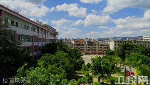 普洱卫校在线报名,普洱卫校报名网