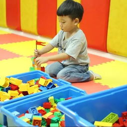 少儿编程从几岁学最好,从幼儿园开始编程