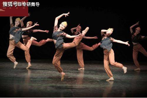 学舞蹈的考哪个学校好,全国前十名的舞蹈学校