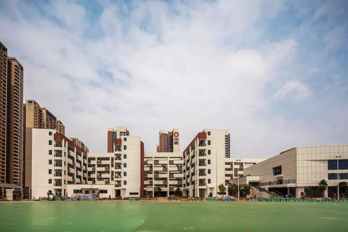 湖南护理学校新校区,湖南环境生物职业技术学院南校区怎么样