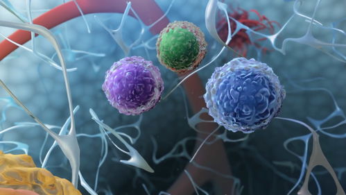 学三维动画设计,3d动画制作需要学习什么，难不难？