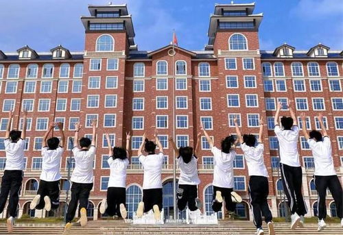 护理学是学什么的视频,什么是护理学?