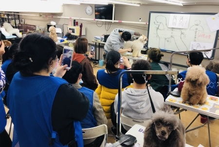 上海宠物护理学校,上海狗狗学校挺多的，不知道选择哪家比较灵？