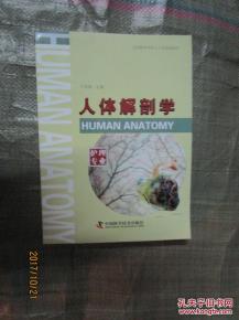 护理专业解剖学重点,护理专业解剖学基础笔记