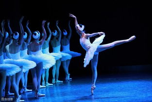 流行舞蹈艺考,四川音乐学院流行舞系都要考一些什么?