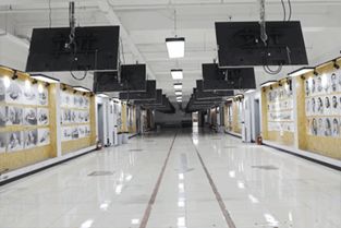 美术高考画室机构排名,美术高考画室哪家好