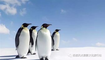 专业旅游机构,旅游机构有哪些