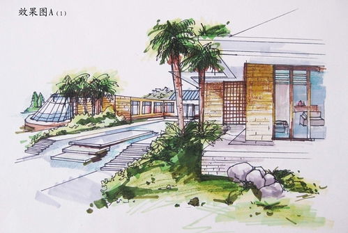 学环境艺术设计,谈谈你对环境艺术设计专业的认识