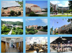 航空学校秋季招生简章,沈阳工业航天学院空乘专业招生简章