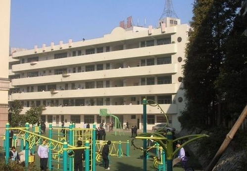 安徽旅游学校在哪个区,安徽旅游学校是什么学校