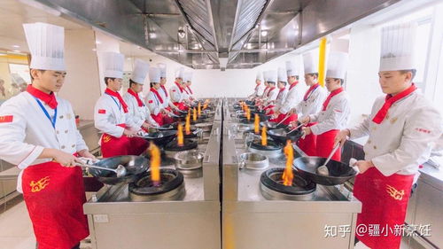 学厨师要多久才能出师,新东方厨师学费价目表