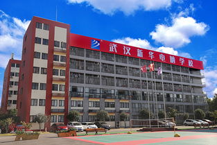 武汉新华电脑学校咋样,武汉新华怎么样？那位网友可以告诉我？