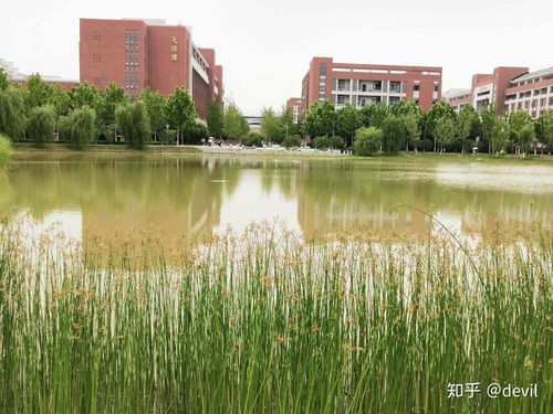 合肥幼师学校有哪几所,合肥幼师学院要多少分