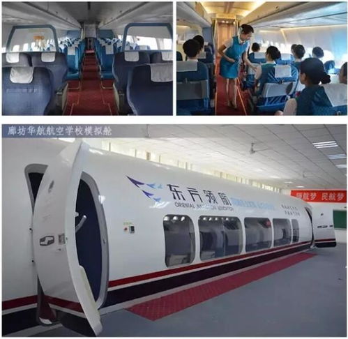 航空学校条件是什么,优秀的教师队伍