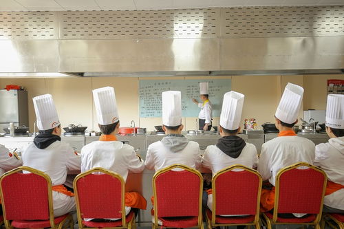 怀化厨师学校,怀化有哪些厨师学校，哪一个好一点？谢谢！