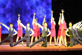 舞蹈艺术学校加盟排行,舞蹈艺术学校加盟排行榜