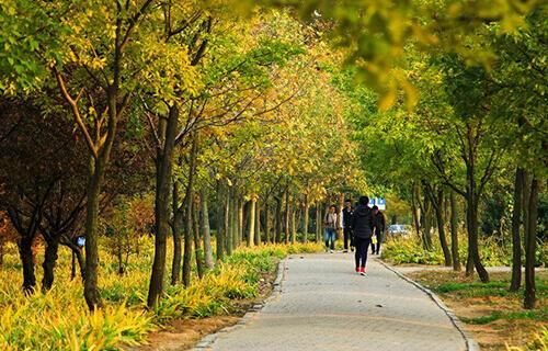 学护理有哪些要求,学护理的要求