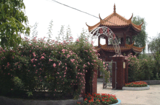 成都华西卫校军训,四川大学附设华西卫生学校军训