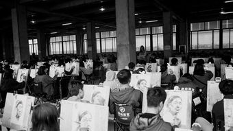 美术艺考文化课,美术艺考考什么？