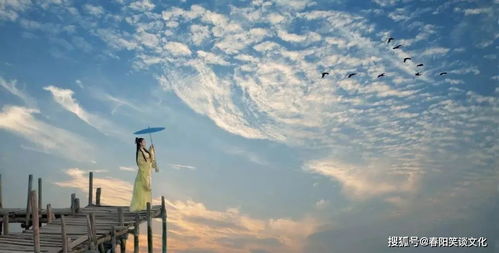 舞蹈培训高考,高考舞蹈艺考培训