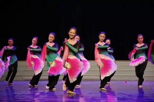 舞蹈专业学习,大学舞蹈系学什么课程