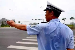 芜湖哪里有厨师学校,芜湖有厨师学校吗