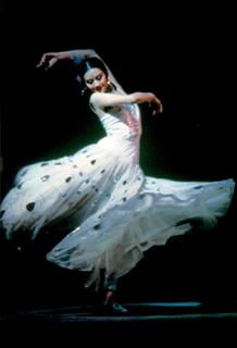 舞蹈艺考1对培训,舞蹈艺考一对一培训