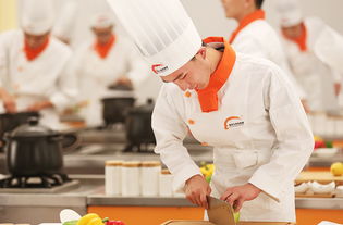 德州有厨师学校吗,德州新东方烹任r学校有中专和厨师证吗