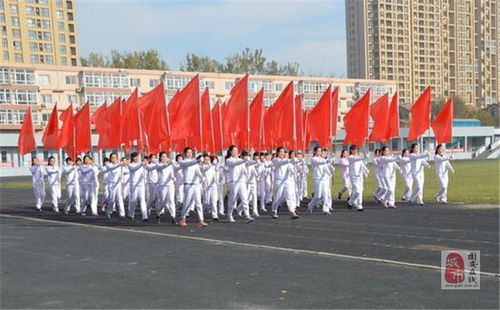 河北廊坊 华航航空学校,河北廊坊华航航空学校分数线