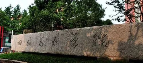 美术生学设计好吗,美术设计好不好