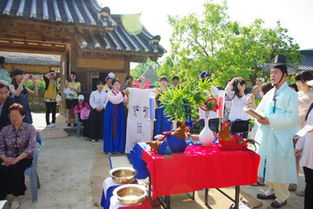 韩国留学舞蹈专业申请要求,去韩国留学怎么样