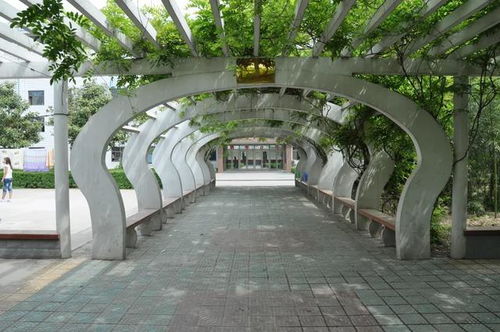 淮北卫校靠谱吗,靠谱吗?淮北卫校