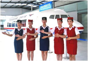 高铁乘务员本科学校,铁乘学校哪个学校好？