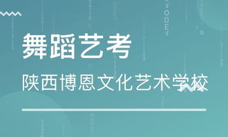 西安舞蹈艺考王老师,西安艺考哪个学校好