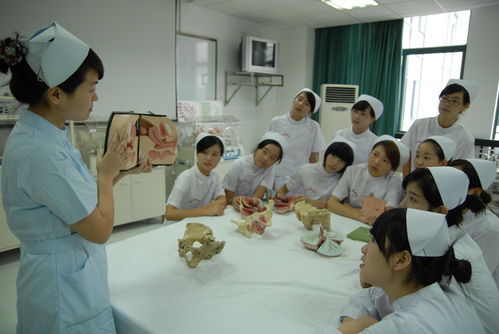 护理专业专科学校,哪些大专院校有护理专业