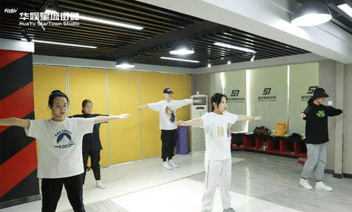 舞蹈艺考毕业出路,舞蹈类考生的前途