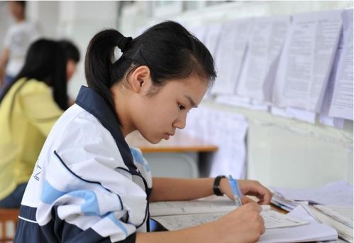 高考美术和三本学费哪个贵,美术生费用与本科三本生相比