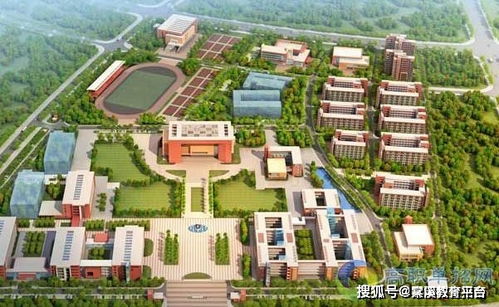 河北幼师单招学校,石家庄幼儿师范高等专科学校单招分数线