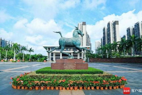 海口旅游学校招生条件,请问一下我没有高中毕业证书我可以去海南省海口市旅游业学校读吗