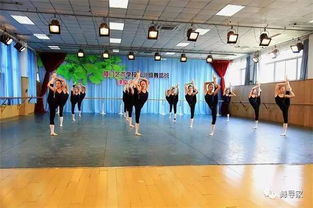 中专舞蹈专业学校,初中毕业想学舞蹈去哪个学校 有什么推荐