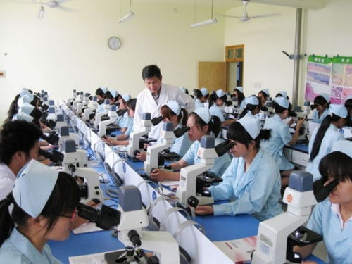 护理专科学校有哪些,护理公办专科学校排名