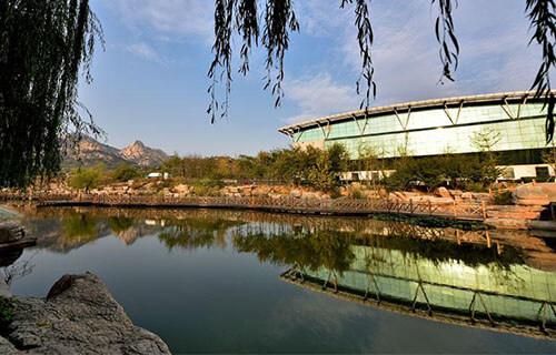 技校女幼师都学些什么,读中专幼师学习什么啊？