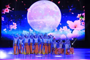 巨人舞蹈学校,介绍。