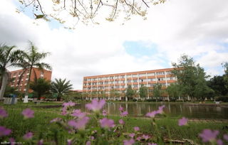 广东省惠州旅游学校,惠州旅游学校官网