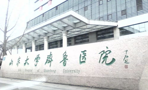 山东济南卫校医院,济南的卫校是个什么学校