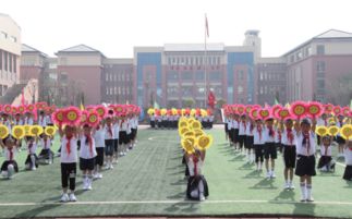 海东高铁新区学校,建瓯高铁新区实验学校好不好