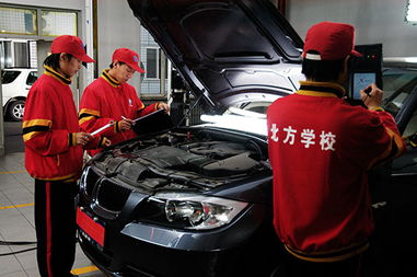 汽修学校专科,麻烦大家推荐几个汽车维修方面的高职学校？