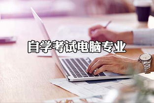 学电脑什么好就业,学电脑学什么利于以后找工作呢？？