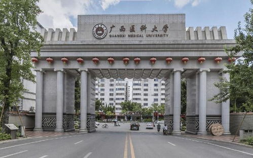 广西护理学校有哪些,广西护理专业学校排名